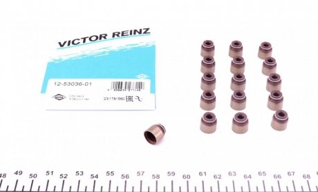 Сальники клапанів (комплект) VICTOR REINZ 12-53036-01
