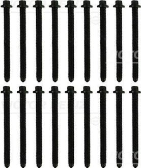 Набір болтів ГБЦ (18шт) DEUTZ FENDT 300 FARMER, 309 FARMER, 310 FARMER, 311 FARMER, 312 FARMER, 409 FARMER, 410 FARMER, 411 FARMER, 412 FARMER, 711 FAVORIT, 712 FAVORIT, 714 FAVORIT VICTOR REINZ 141066903