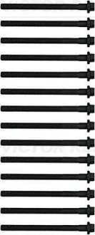 Набір болтів головки цилідрів VICTOR REINZ 143215203