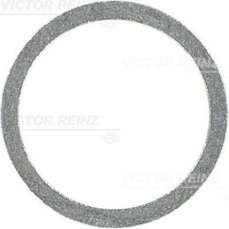 Кольцо уплотнительное VICTOR REINZ 41-71076-00 (фото 1)