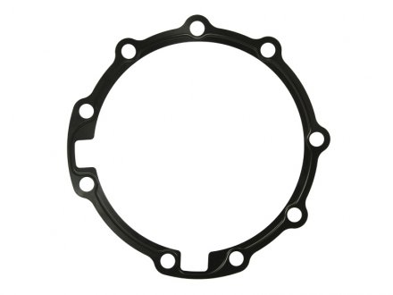 Прокладання коробки передач ZF 1315331001